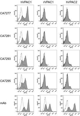 Development by Genetic Immunization of Monovalent Antibodies Against Human Vasoactive Intestinal Peptide Receptor 1 (VPAC1), New Innovative, and Versatile Tools to Study VPAC1 Receptor Function